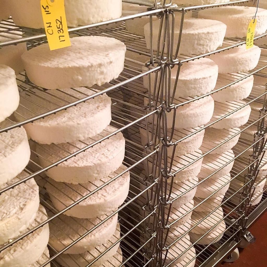 Our award winning Nancy's Hudson Valley Camembert - well on its way to perfection and a spot on your fall cheese p… ift.tt/2eLIBJ3