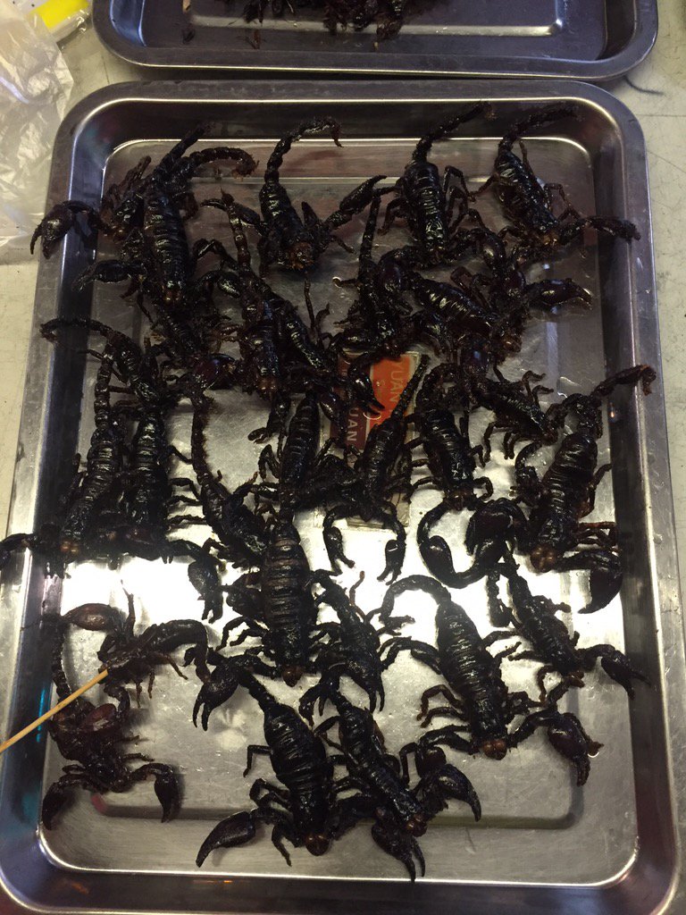 ogino_kenjiro's tweet photo. 閲覧注意！
シェムリアップの夜の街を散策してきました
サソリとタランチュラを発見！
感想は…エビの殻の味！
日本人観光客がこの屋台を嫌そうな目で見ながら通り過ぎていく中食べるのが荻野流。 https://t.co/DNvS377nrp