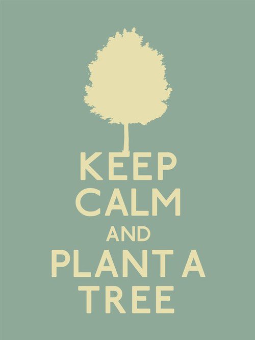 Suzan_Temba's tweet image. Tanzania ya kijani...
Plant a tree shade the future generation
#missionGoGreen 
#mission50