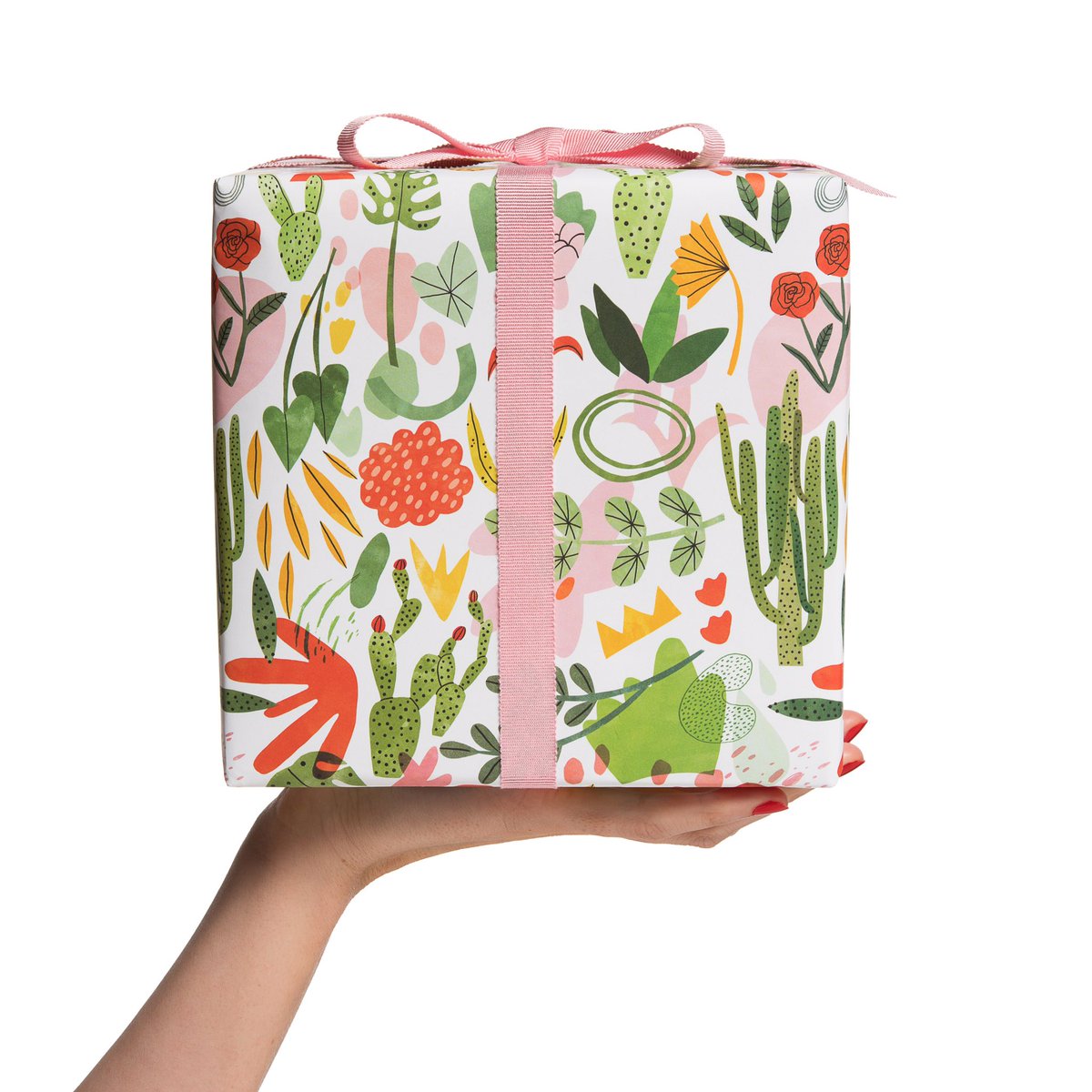 redcapcards's tweet photo. New succulent garden gift wrap illustrated by @Bodiljane. This one is ❤️ 🌵. #art #illustration #design #giftwrap #bodiljane #redcapcards https://t.co/NV3PdfRq9V