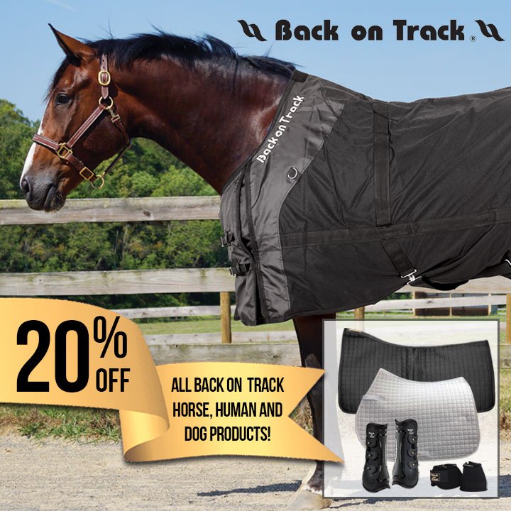 Big Dee's Tack on Twitter "20 off Back on Track ends tomorrow! Shop