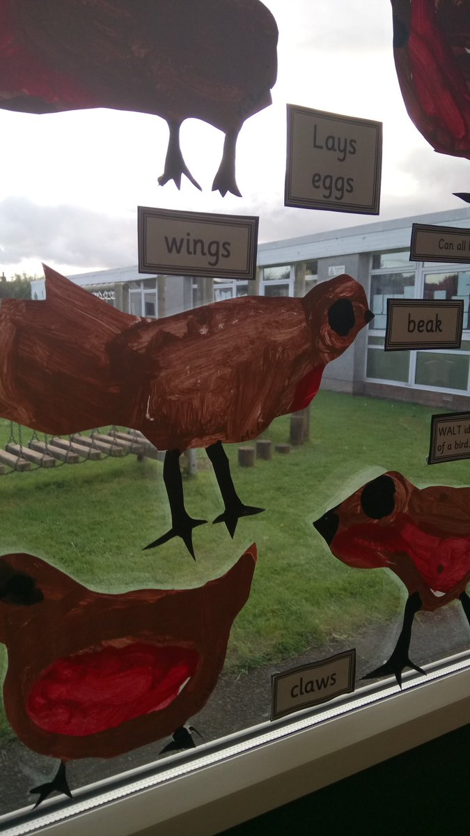 MilnathortPS's tweet photo. P1 have a bird nesting in their classroom. #RobbieRobin They've created some friends for him so he's not too lonely #Caring ๐ฆ https://t.co/mdrsDi6SoK