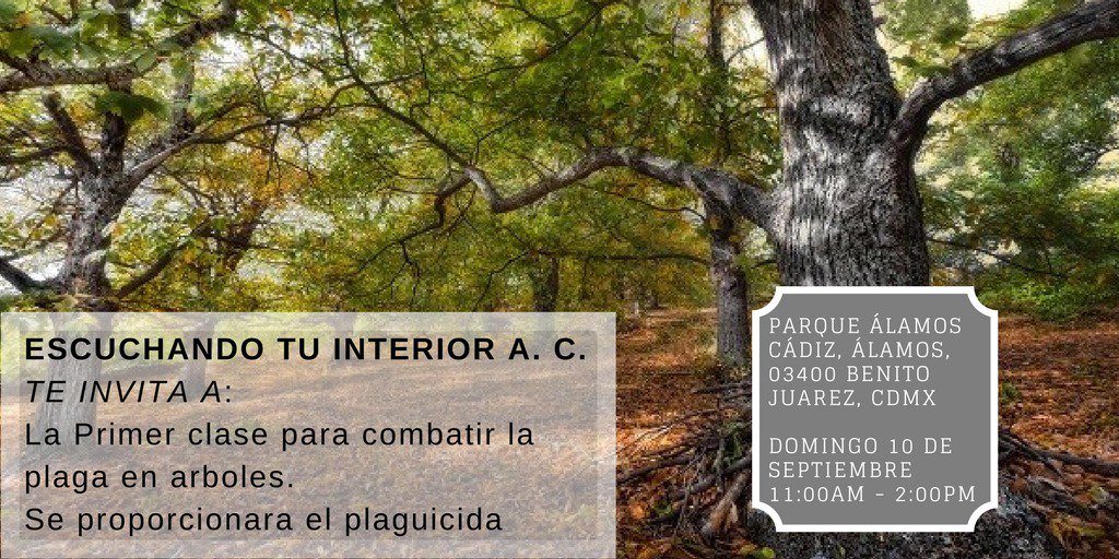 e_tuinterior's tweet photo. ¡No olvides asistir este domingo! Cuidemos nuestros parques #ecofriendly #huellaverde https://t.co/VIUEXowHD7
