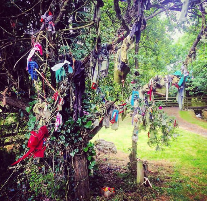 Irish Archaeology tweet media