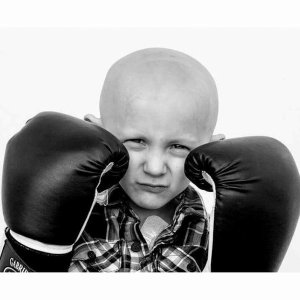 wpri12's tweet photo. #Dstrong will partner with @StBaldricks to fund research on childhood cancer. https://t.co/c5c6lNfn6I https://t.co/qaCRU2uwi3
