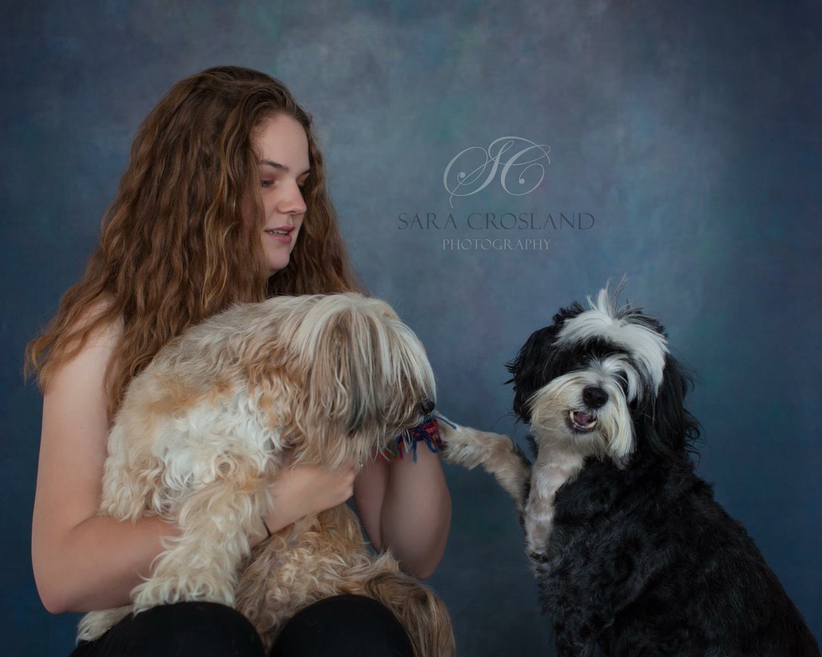 saracrosland's tweet photo. Today's #petpawtrait. Loved working with these 3! #ellesmereportphotographer #saracroslandphotography #doglovers #petportrait #existinprint https://t.co/k0TR5S2F0p