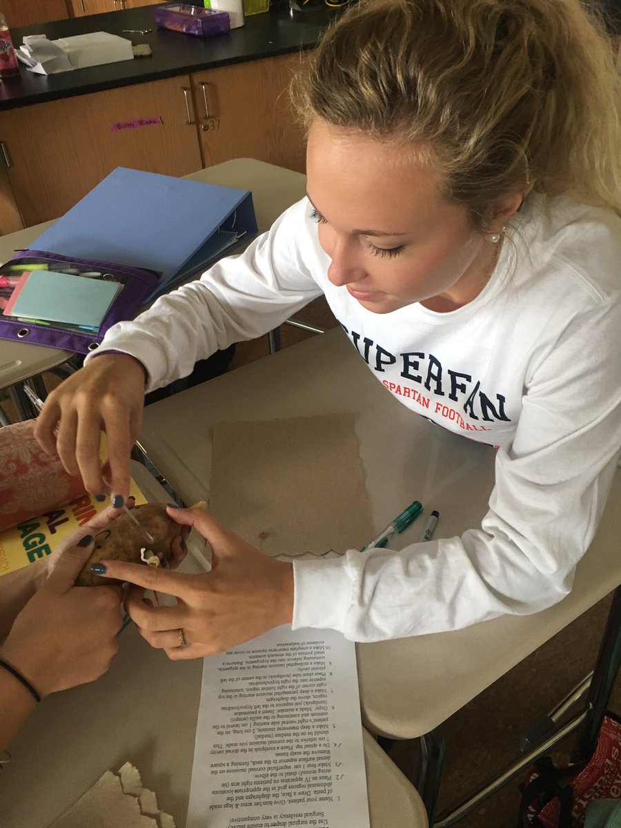 BEHS_SDE's tweet photo. Emily executing a transverse incision in #medterms #anatphys https://t.co/wm7B2IY0S5