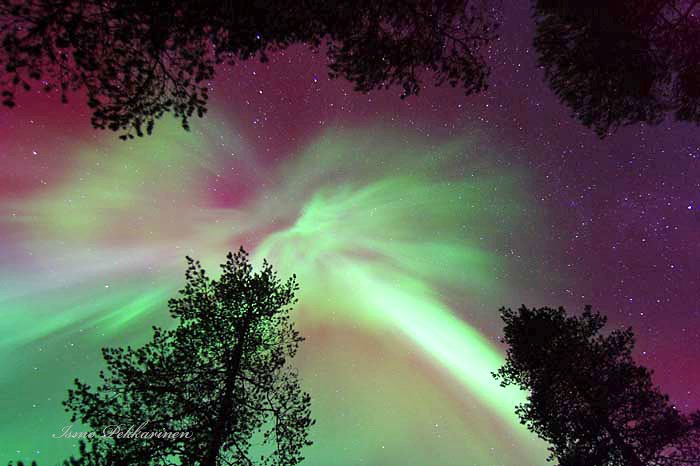 Revontuli korona on  revontuli näytelmän huipennus. 
#auroraborealis #revontulet #norternlights #sky #finland #visitfinland #nature #luonto