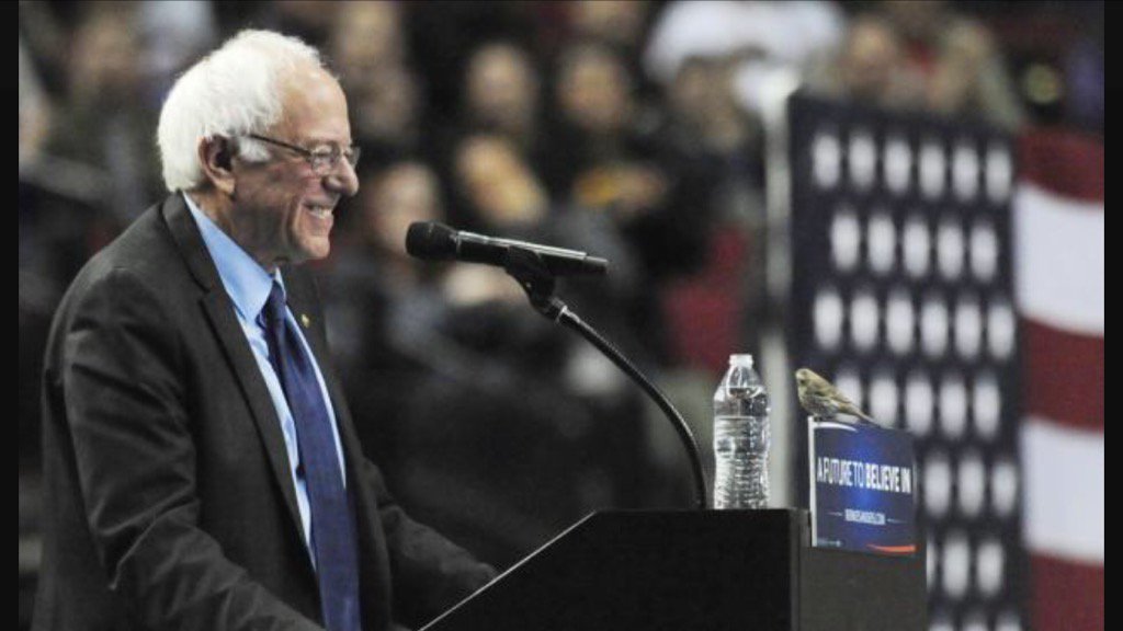  Happy Birthday Bernie Sanders!! Thank you for making the a better place!     