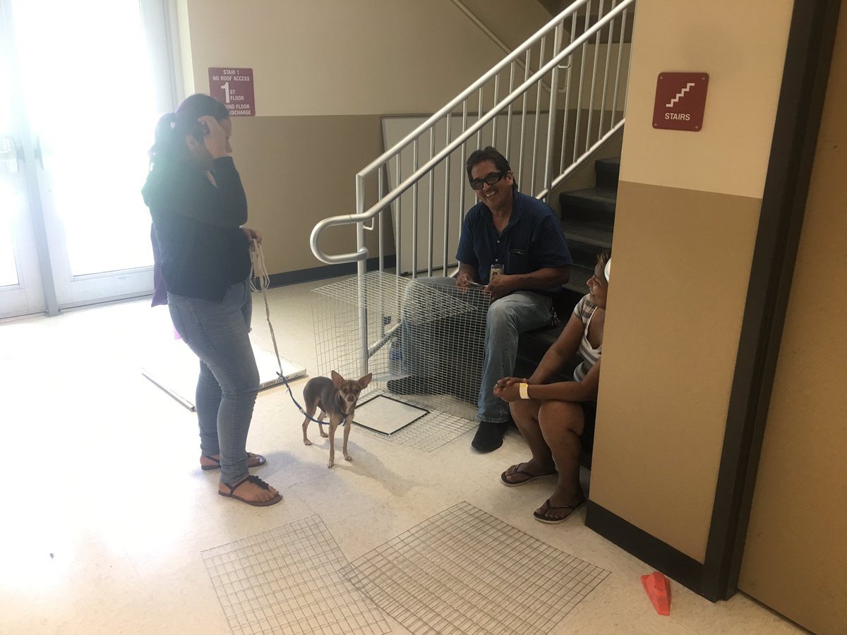 MelanieRVilla's tweet photo. Shout out to Angel Gamez... doing everything he can to help families @IMS_Indians.  From cots to generators to helping assemble dog crates 😍 https://t.co/S3CzGF1wz8