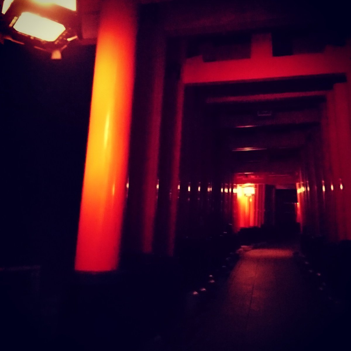 るれろ 深夜に伏見稲荷大社行ってきました 肝試しでしかなかった るれろ 深夜に伏見稲荷大社行ってきました 肝試しでしかなかった