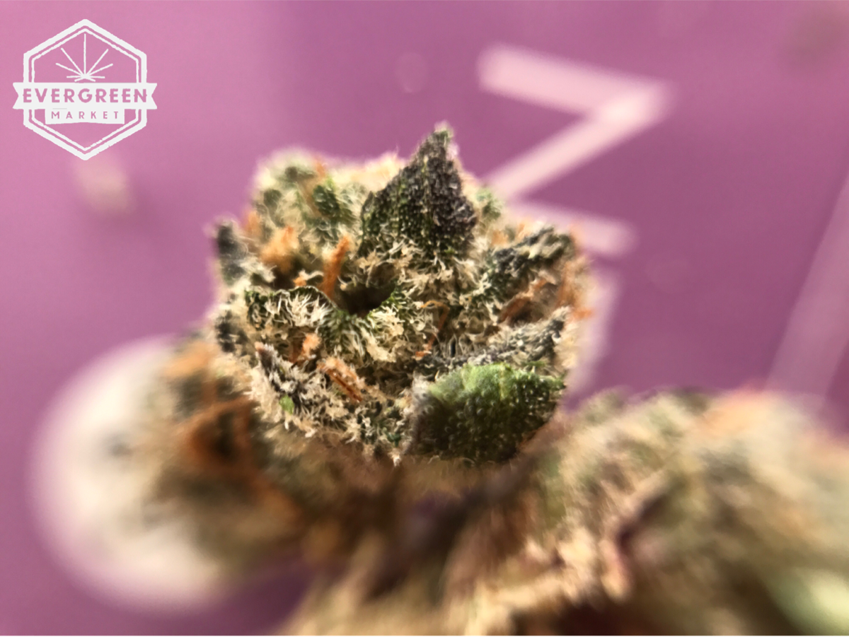 EVERGREENMKT's tweet photo. #TGIF Thank God it's Fire! Grab that #Gooberry and feel the euphoria and relaxation take over. Thanks @artizencannabis https://t.co/CenF8V6SDI