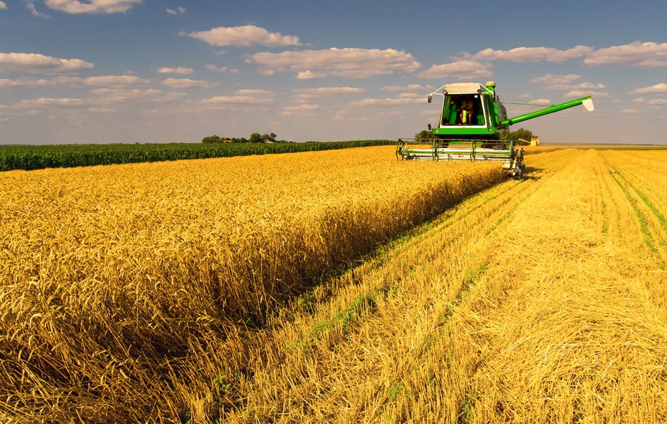 Insud_Arg's tweet photo. ¡Feliz día a todos los productores agropecuarios que forman parte de Grupo Insud! https://t.co/kAIMerjnaV