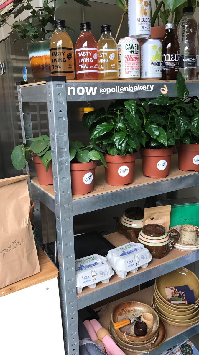 PlantShopManchester tweet media