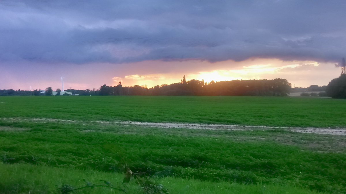 T_Whyman's tweet image. 