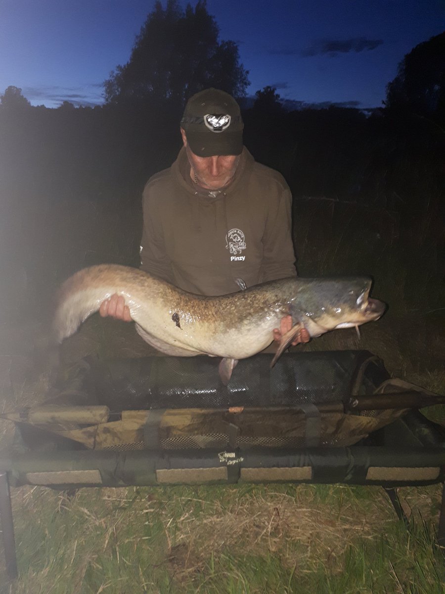 Did 48hrs fishing with my son we had 15 carp 1 cat and a pike wad 22bls+ cat 36+and carp to 29+