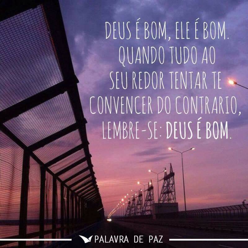 palavradpaz's tweet photo. Boa tarde. #Gratidão https://t.co/GcyDETO3oS