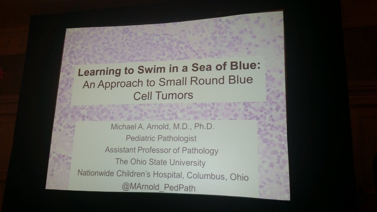 CArnoldMD's tweet photo. .@MArnold_PedPath takes the stage at the #OSUupdatecourse! Do these blue tumors all look the same? MArnold gives H&amp;E tips to triaging https://t.co/HIQwYGcfJ3