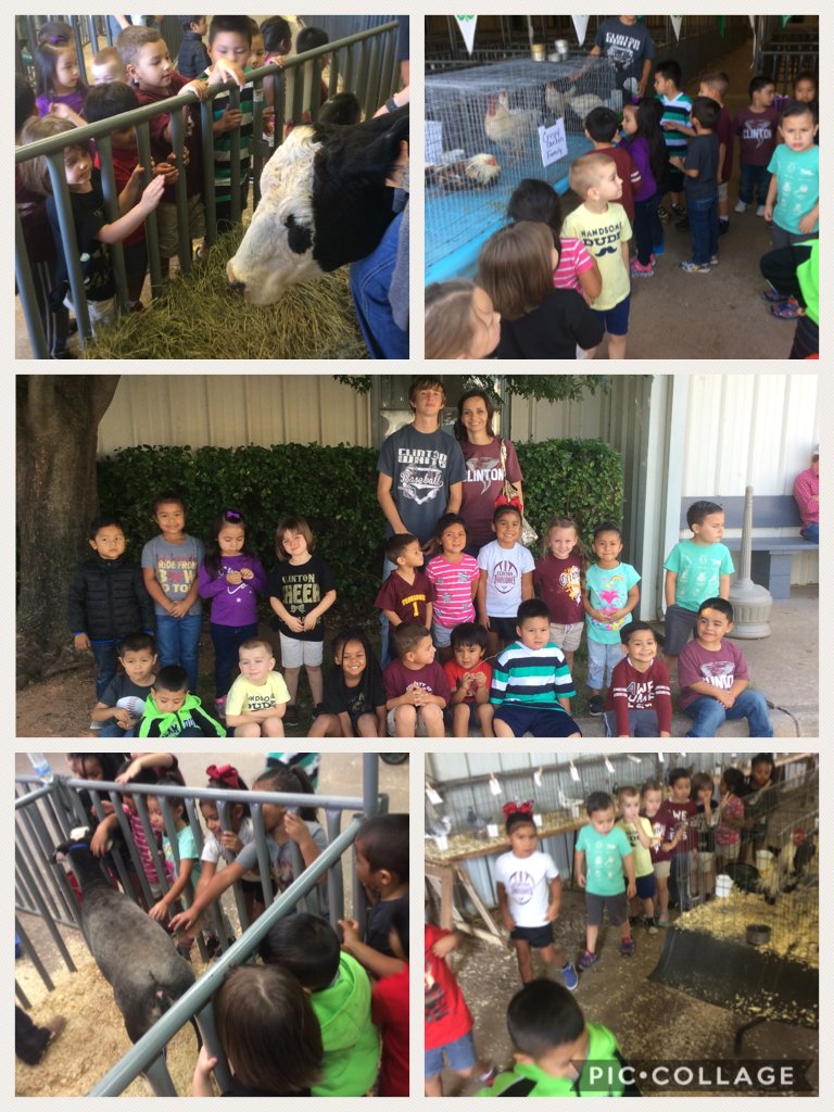 Heather Davis tweet media