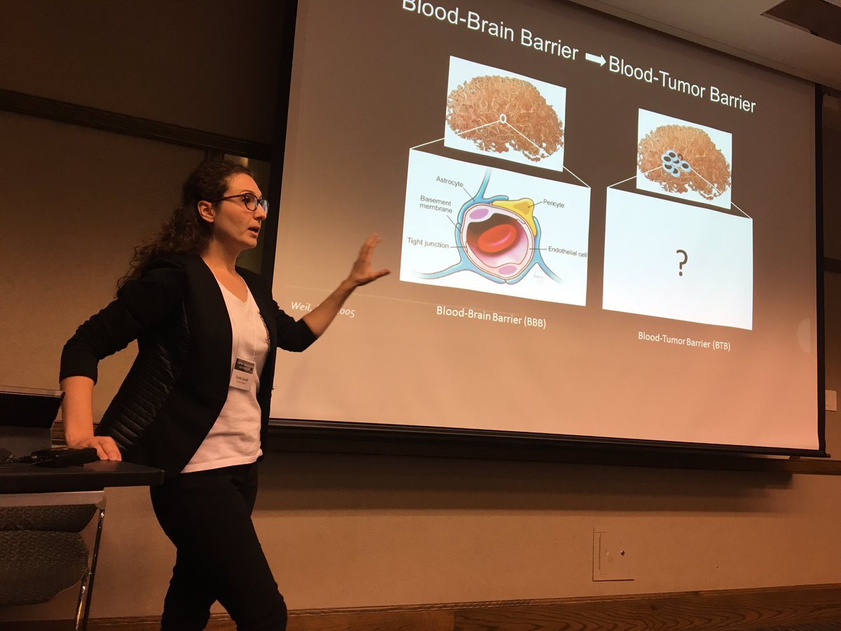 bigdataneuro's tweet photo. Gozde Uzunalli, "Molecular Alterations of the Blood-Brain Barrier in Brain Metastases of Lung Cancer" #BDN2017 https://t.co/yhnB5U9Iez