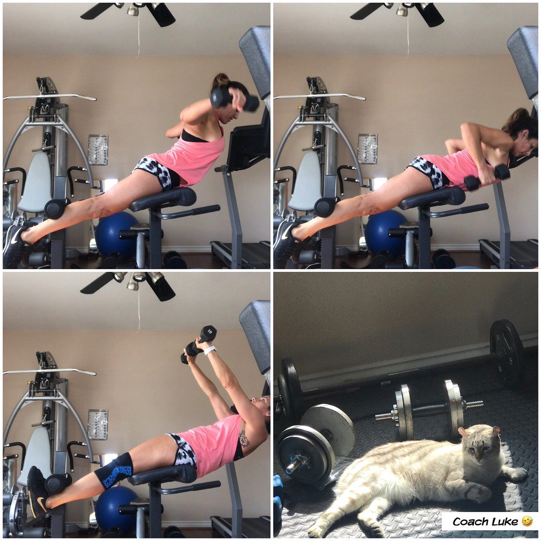 FitBodyBuzz's tweet image. Roman Chair Buying Guide | Reviews &amp;amp; Comparison of Best Models (2017) fitbodybuzz.com/best-roman-cha… #romanchair #homeworkout