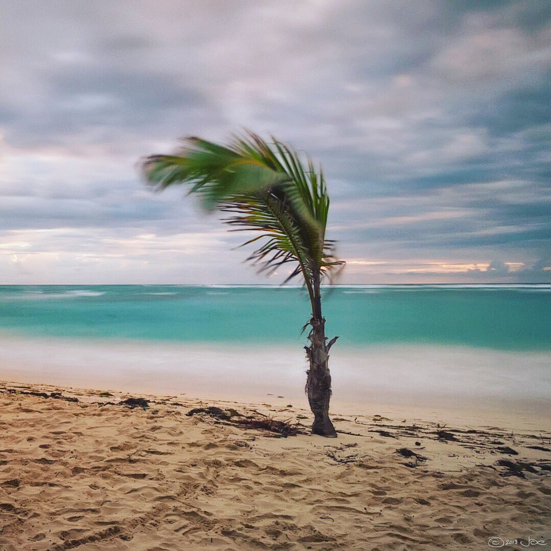 impactvirtualso's tweet image. As we finish boarding up our home, we say prayers. Prayers for the weekend and coming out unscathed. #HurricaneIrma