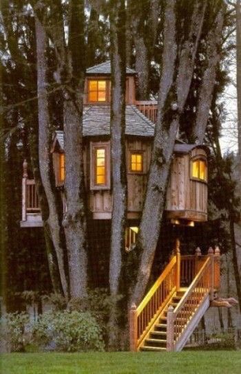 IPERNOVA_'s tweet photo. 80) ai tuoi figli vuoi costruire la casa sull'albero, quale scegli di fare? https://t.co/sY4JUUKOKW
