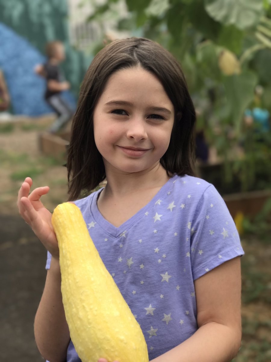 IndianHillsElem's tweet photo. The Groner garden is in full harvest. #squishsquash #STEAM https://t.co/nazU1jDSm6