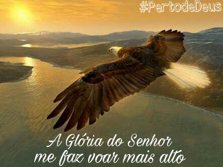 PertoDeus's tweet photo. ❤😍 https://t.co/KS19sYG1xv