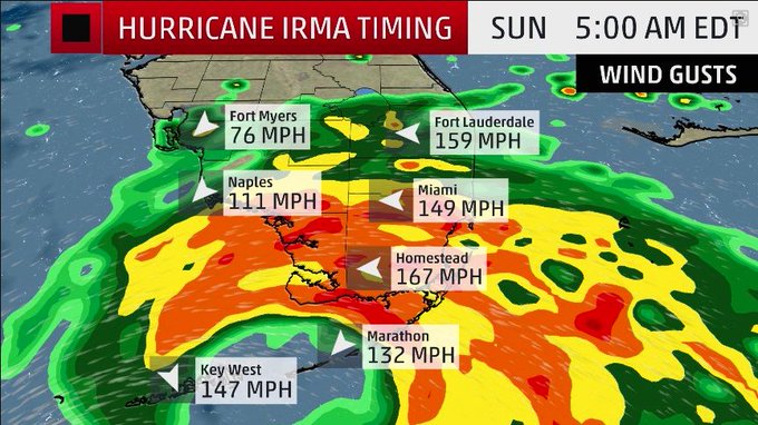 View image on Twitter