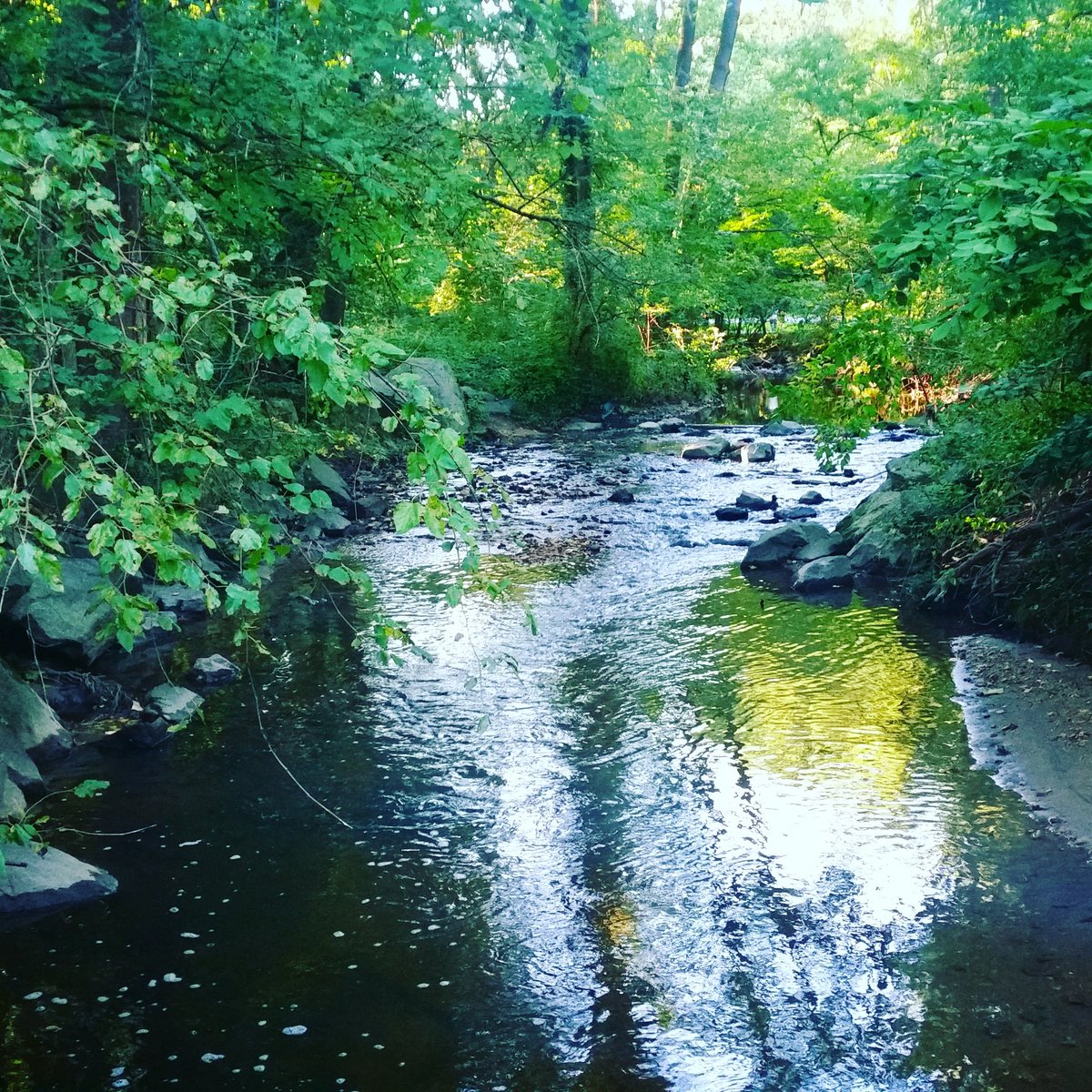 nikki_topia's tweet photo. I had a wonderful time #hiking today #nature #FridayFeeling #fridaynight https://t.co/o3F5itHujC