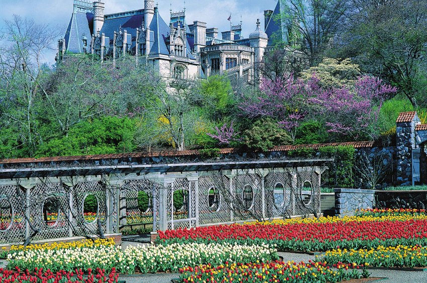 ChihulyStudio's tweet photo. We are excited to announce our next exhibition at @BiltmoreEstate  5/17– 10/7, 2018. Learn more: https://t.co/9rZcg3FEIs
#Chihuly #Biltmore https://t.co/FyQqZtyfvV