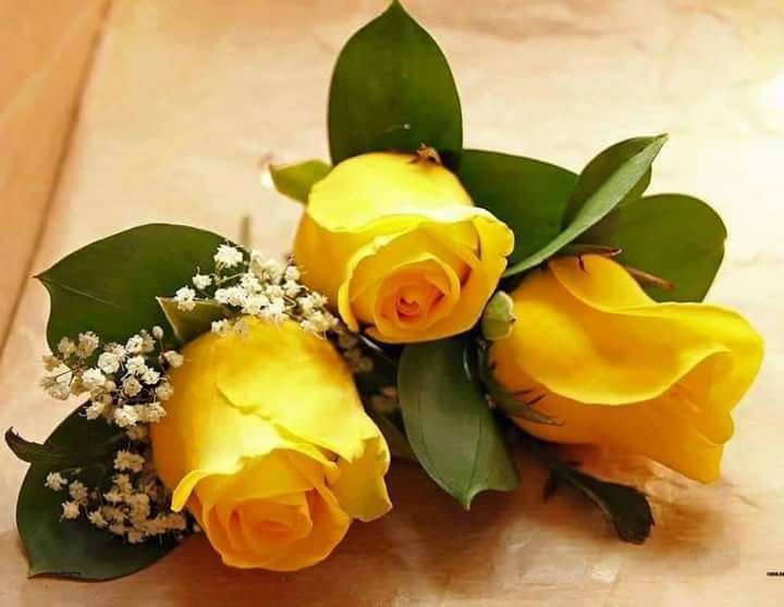 Paulo Da Cruz Lucchesi (@pclucchesi) on Twitter photo 