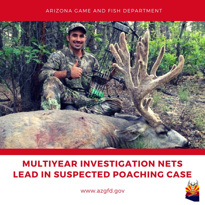 azgfd's tweet photo. 5 mule deer trophies recovered during search of Flagstaff resident’s home https://t.co/Ag6u3GzG1T https://t.co/xFk8IVco8B