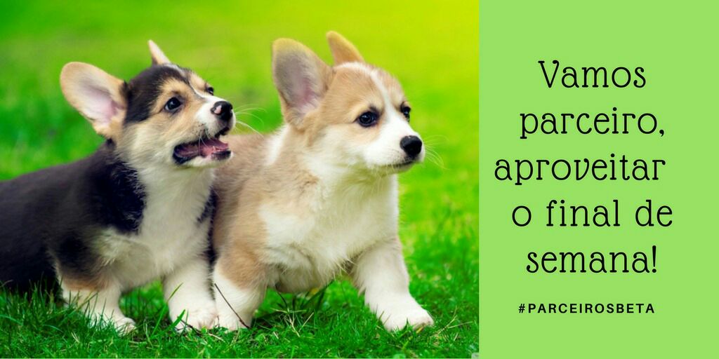 Boa Noiteeeee
 #PARCEIROSBETA