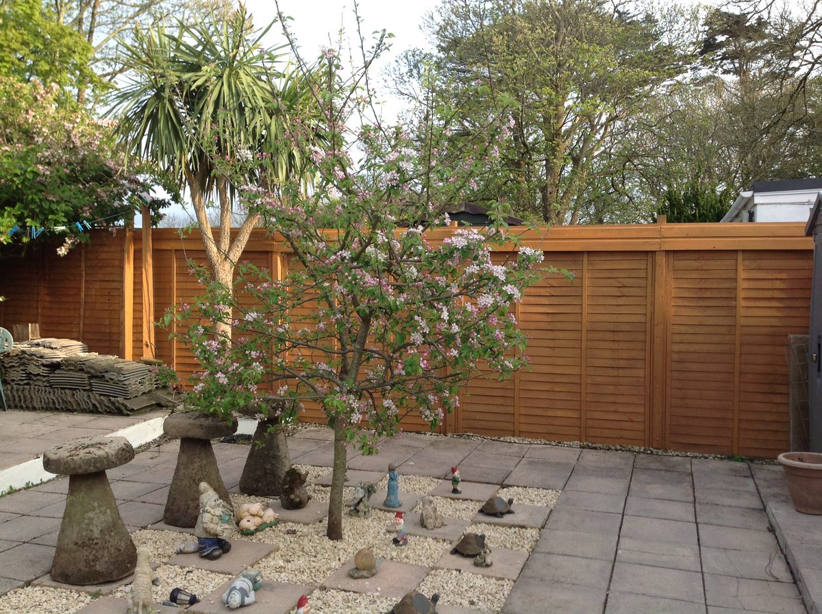 isingtospeak's tweet photo. @BCKuk "Climate Change" To many humans or to few trees? Plant a fruit tree for dementia today, help the world to breath and remember. https://t.co/v0BhL2t6bs