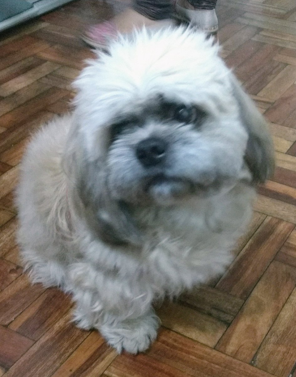 Difícil pontuar por aqui.. Aff
#TimBetaAjudaTimBeta 
#rt 
#TimBetaSegueTimBeta 
#BetaQuerLab