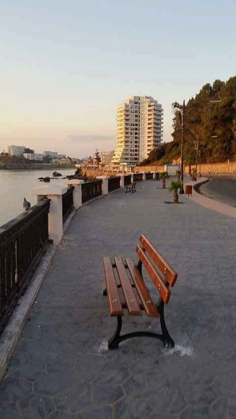 Leila Boutamine tweet media