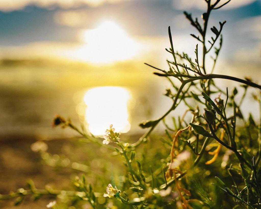 Golden hour #sunset #beach ift.tt/2xVgxM0