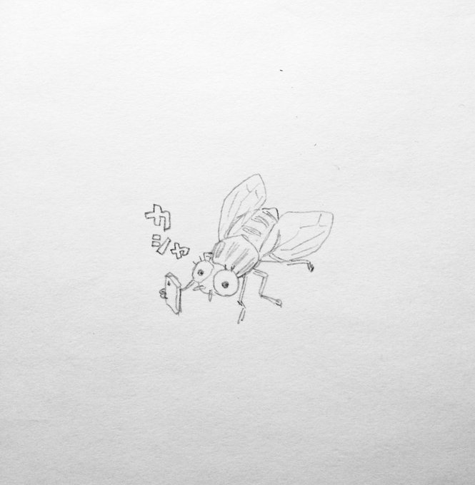 「bug」 illustration images(Oldest｜RT&Fav:50)