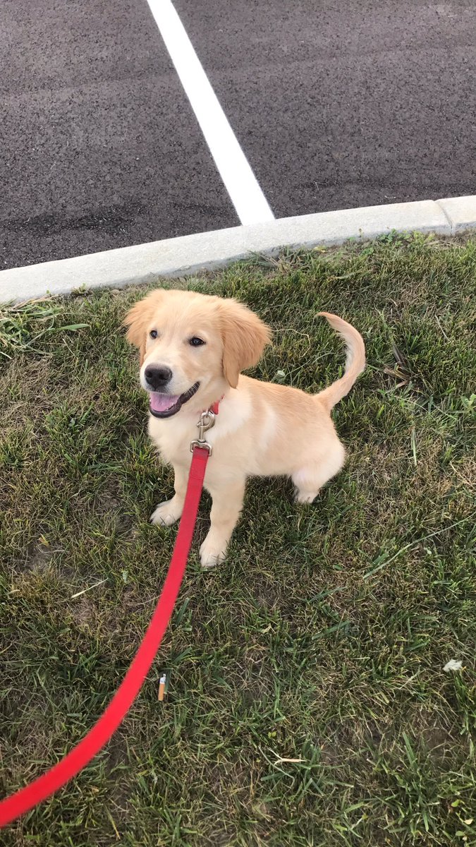 Dr. Fish tweet media