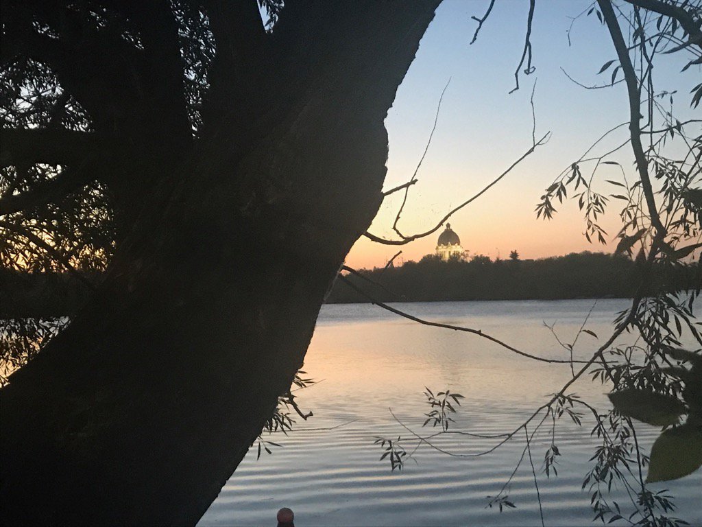 Ran many times <a href="/WascanaCentre/">Wascana Centre</a> and have never paused for this view! #beautiful #summer2017 <a href="/willowonwascana/">Willow On Wascana</a>