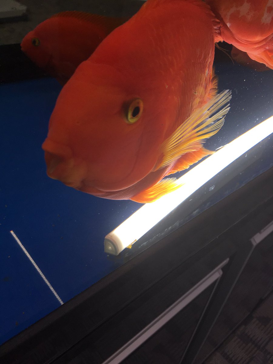 waterproof Led profiles