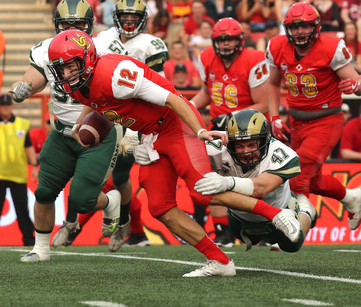 UCalgary Dinos tweet media