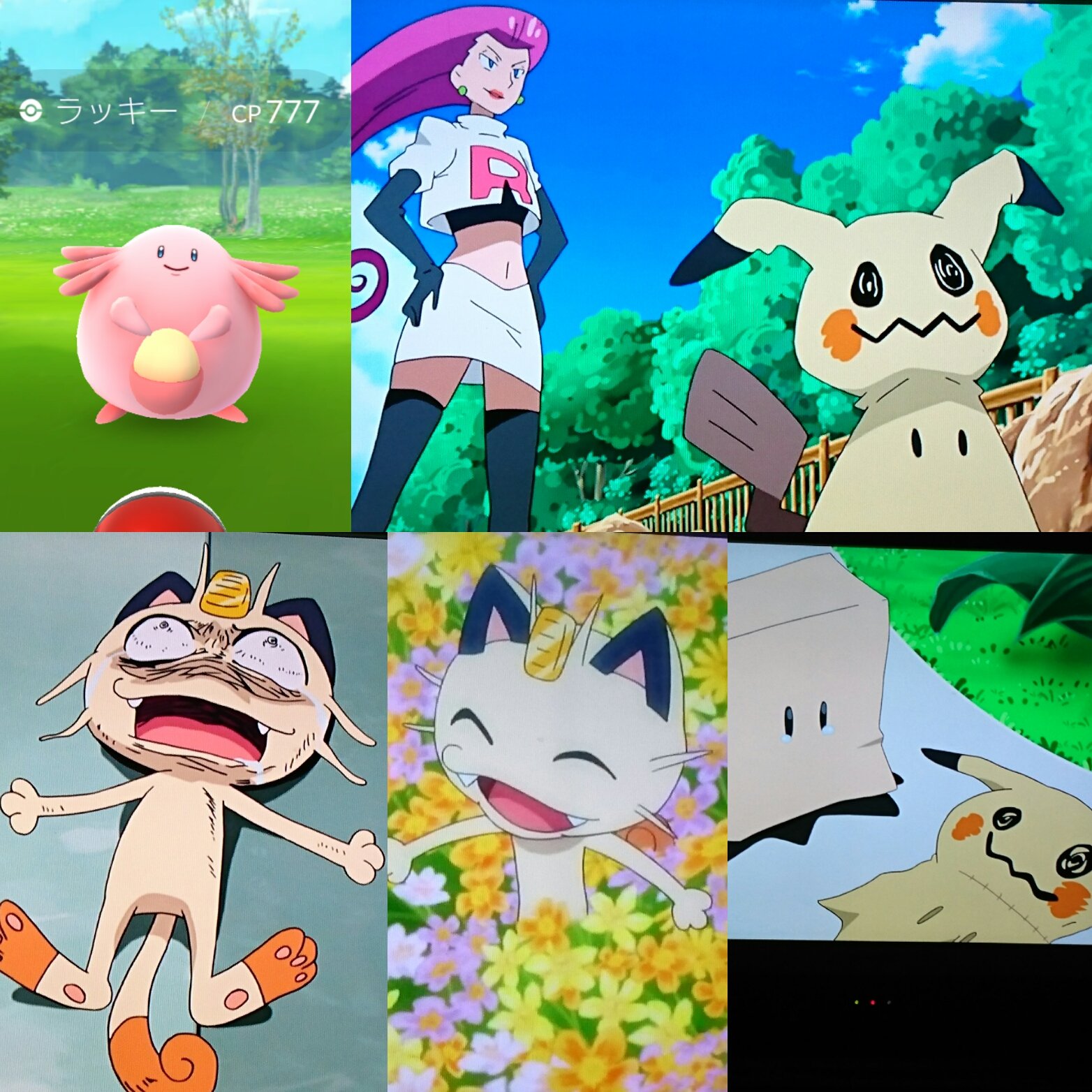 アイサ 早朝にポケモンアニメ見てた ムサシに服を直して貰って涙するミミッキュが可愛かった ミミッキュの中身を見たニャースの昇天シーンはヤバかった ポケモンgo T Co 5ihik8x0zf Twitter