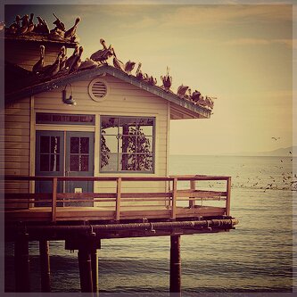 ilsamuni's tweet photo. π§πΌπ»
https://t.co/UzJYsoRovZ
#kissmarc
#thedebutantestrailer
#usopen
#lovingintandemblogcon
#fridayfeeling
#lalunasangremabangis https://t.co/XTJF6yE0xU