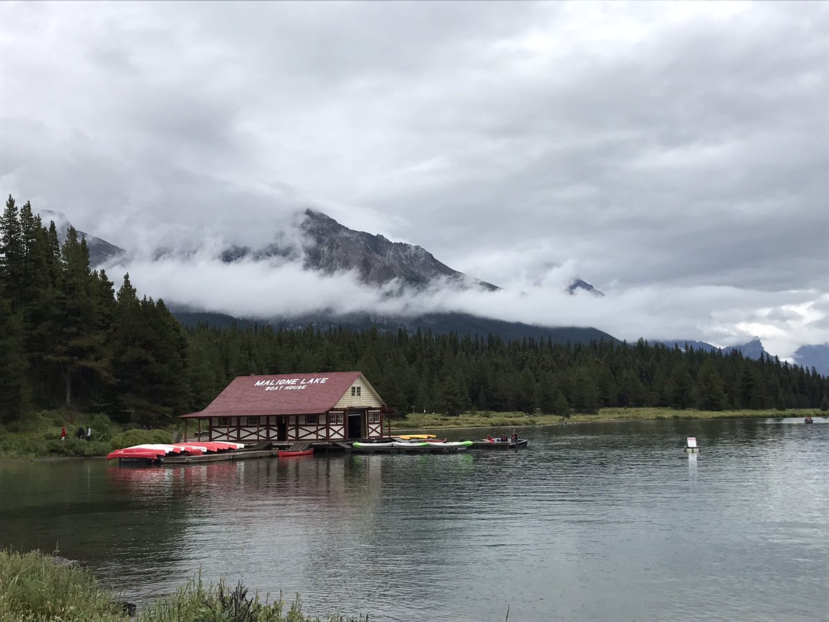 merissafb1's tweet photo. @SauconyCanada Jasper run adventures with my Kinvara 8s! Rocky Mountain miles! #saucony #runyourworld #run150 https://t.co/l9fwYAeSCP