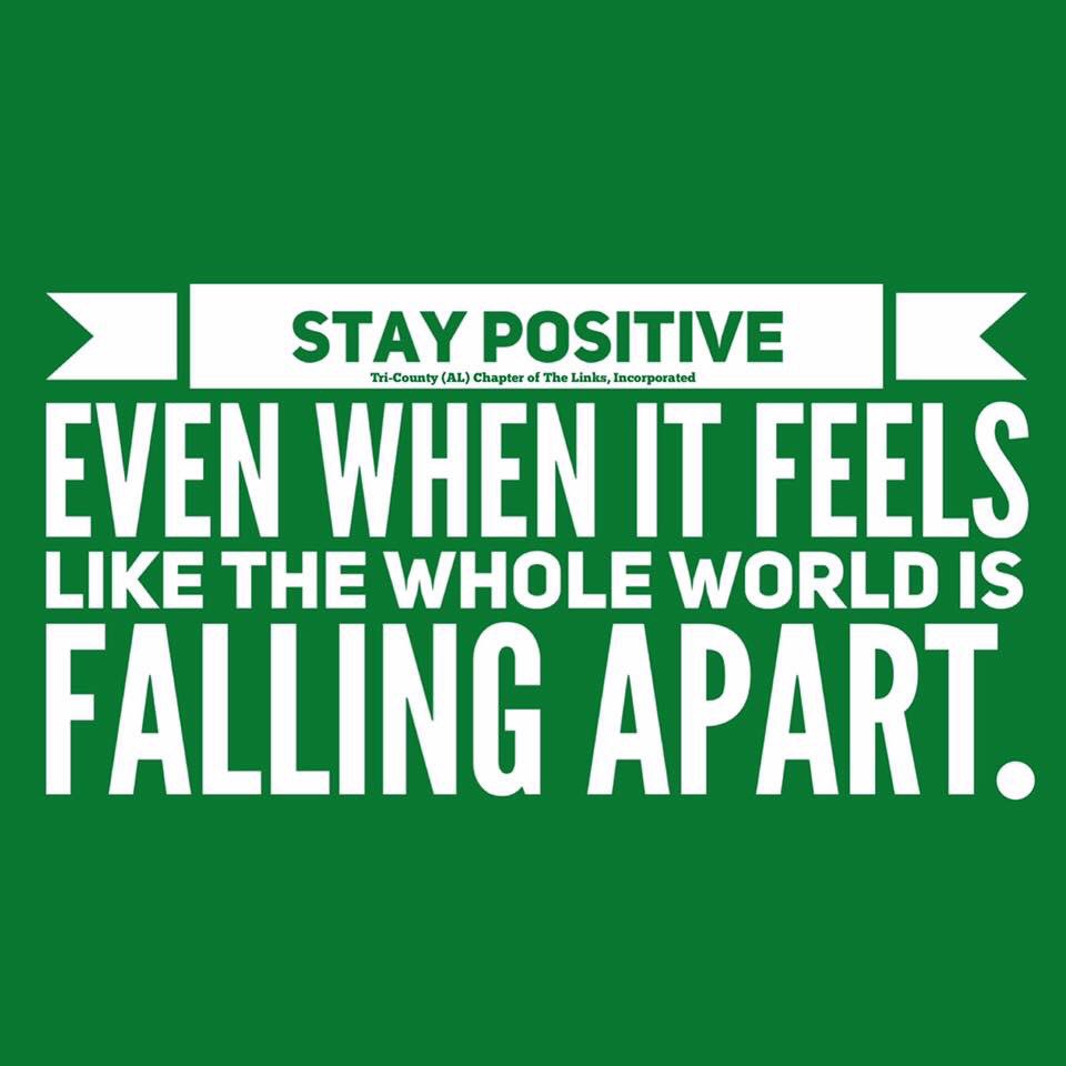 #CamelliaLinks
#CamelliaRoseLinks
#SALinks
#LinksInc
<a href="/CamelliaLinks/">Camellia Rose (GA) Links</a>
<a href="/LinksInc/">The Links, Incorporated</a>