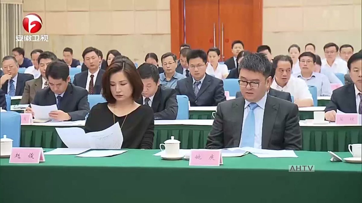 Image result for 姚庆参加姚依林诞辰100周年