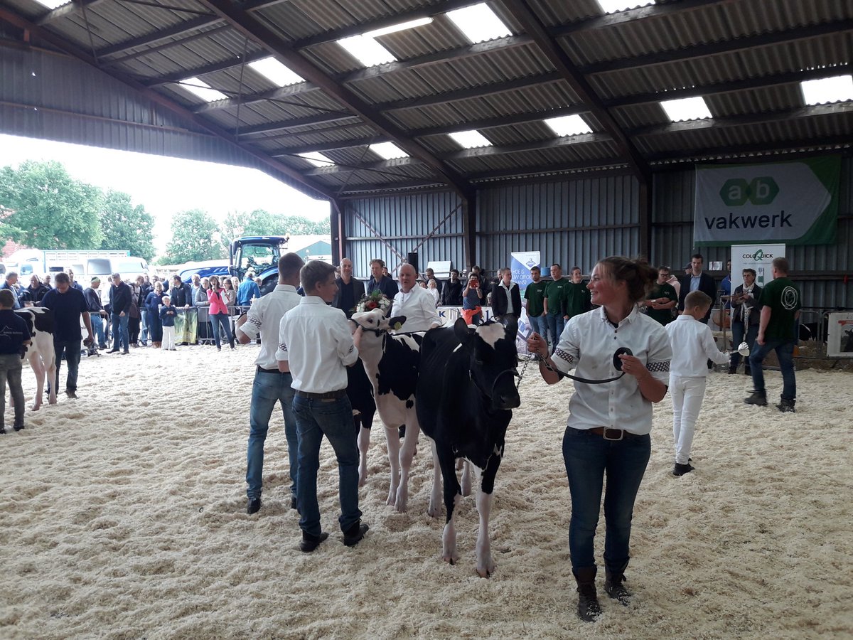 K00yker's tweet photo. De beste groep kalveren bij de bedrijfscollectie's van zuidoost friesland, 2017 Kooijker #kalverkeuring #ringsud https://t.co/Qfn3l7Bm0i